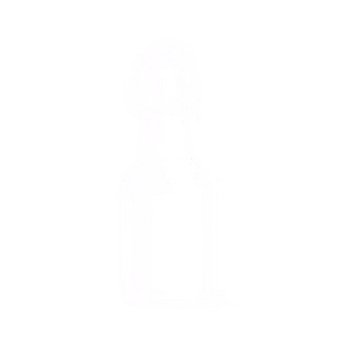 Potts - Icon - Biersorten Weiss 2026.08.17
