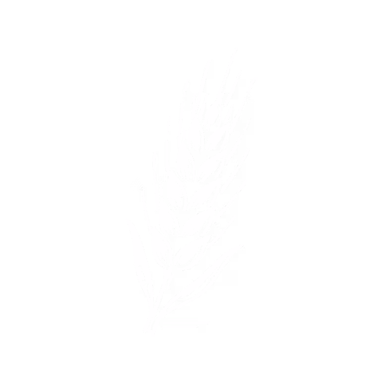 Potts - Icon - Malz Weiss 2026.05.20